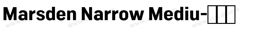 Marsden Narrow Mediu字体转换 Marsden Narrow Mediu字体转换